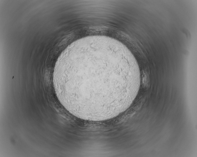 X0000111130819200907281049