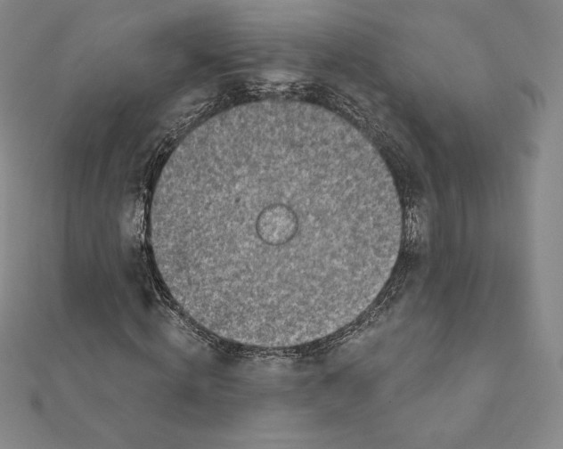 X0000111130820200907281049