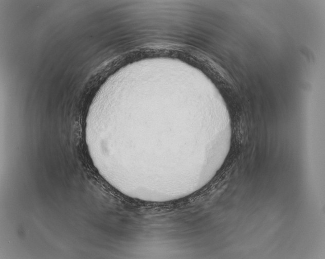 X0000111130821200907281049