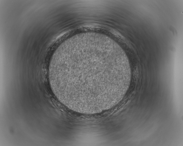 X0000111130822200907281049