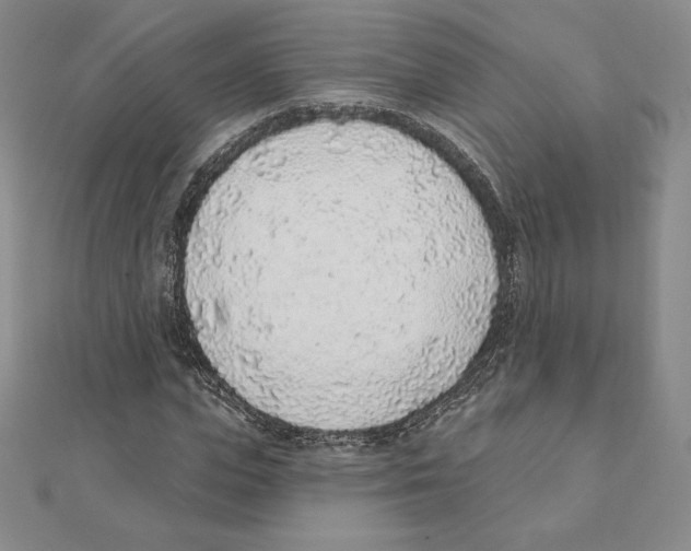 X0000111130823200907281049
