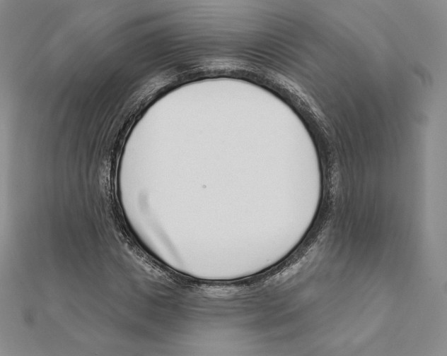 X0000111130825200907281049