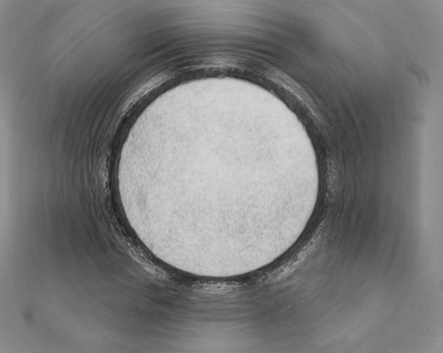 X0000111130826200907281049