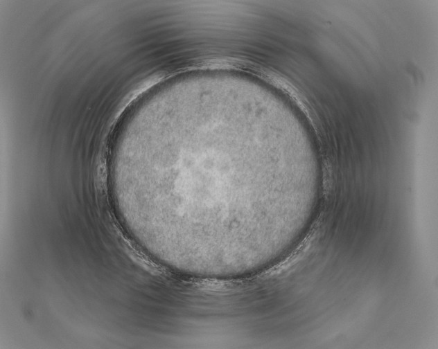 X0000111130827200907281049