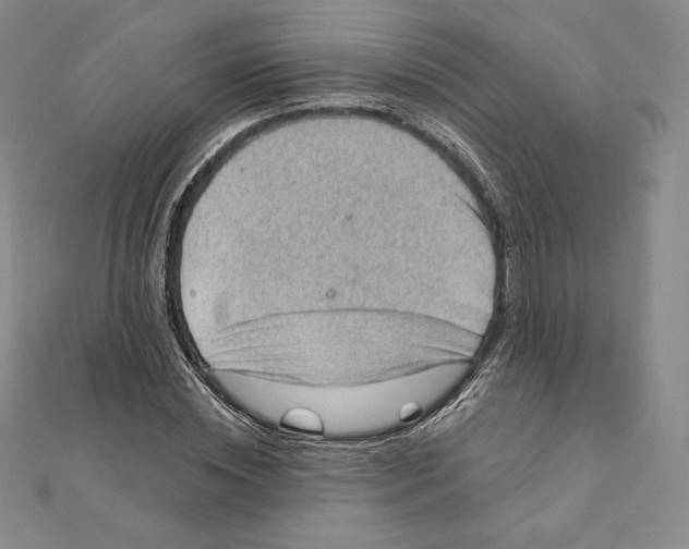 X0000111130828200907281049