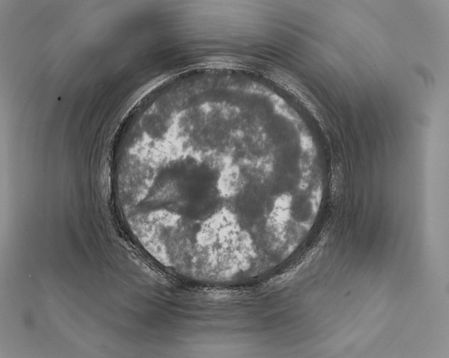 X0000111130829200907281049