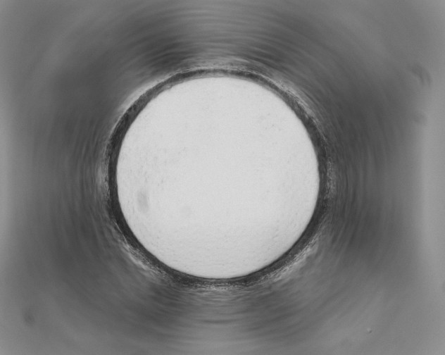 X0000111130830200907281049