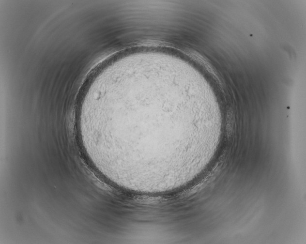 X0000111130831200907281049