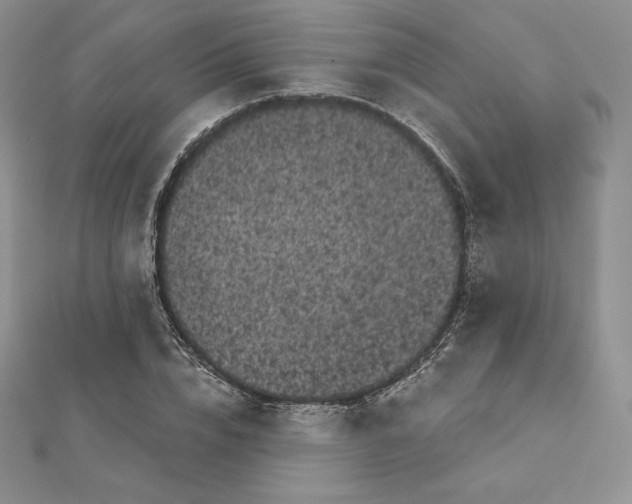 X0000111130832200907281049