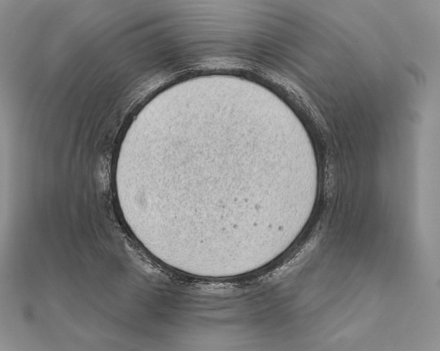 X0000111130833200907281049