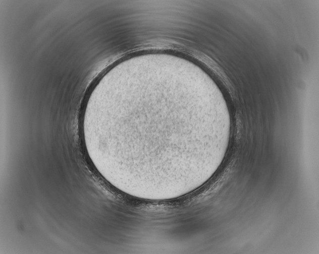 X0000111130834200907281049
