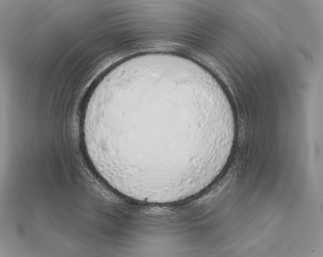 X0000111130835200907281049