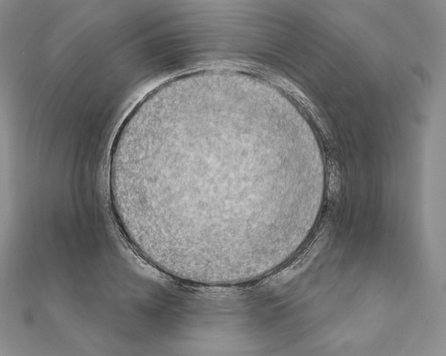 X0000111130836200907281049
