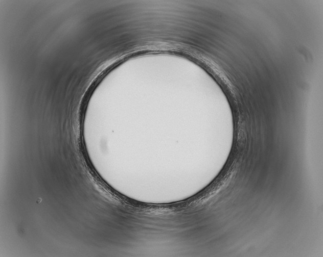 X0000111130837200907281049