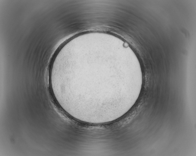 X0000111130838200907281049