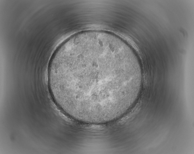 X0000111130839200907281049