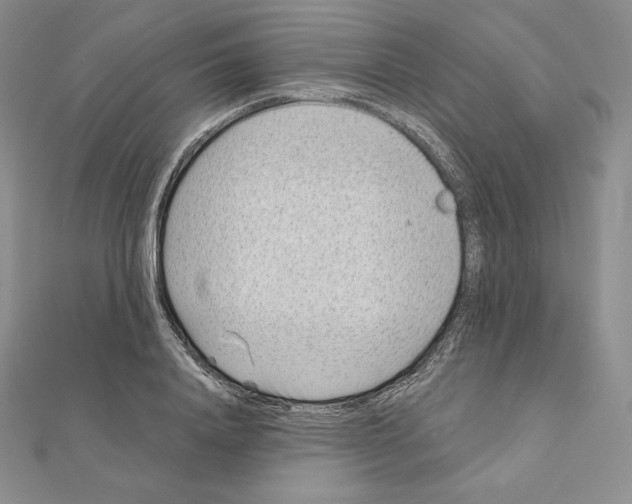 X0000111130840200907281049