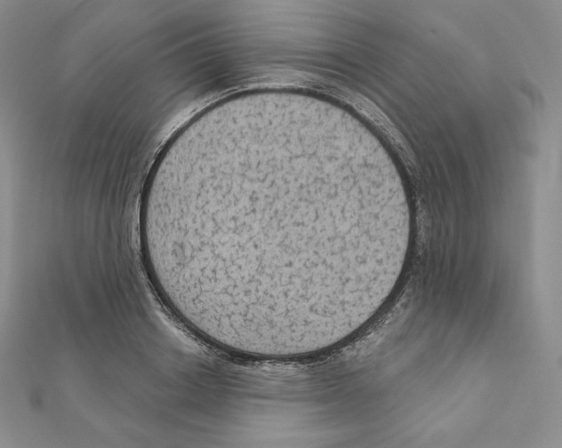 X0000111130842200907281049