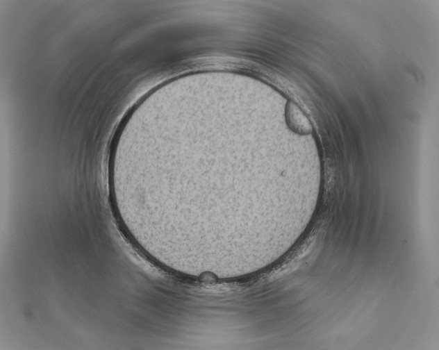 X0000111130843200907281049