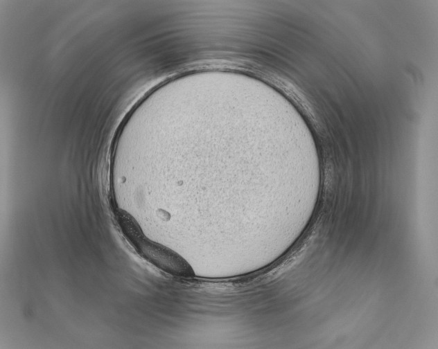 X0000111130844200907281049