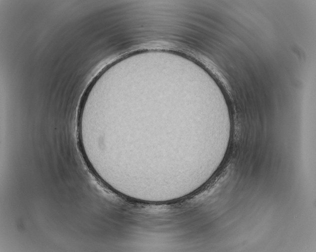X0000111130845200907281049