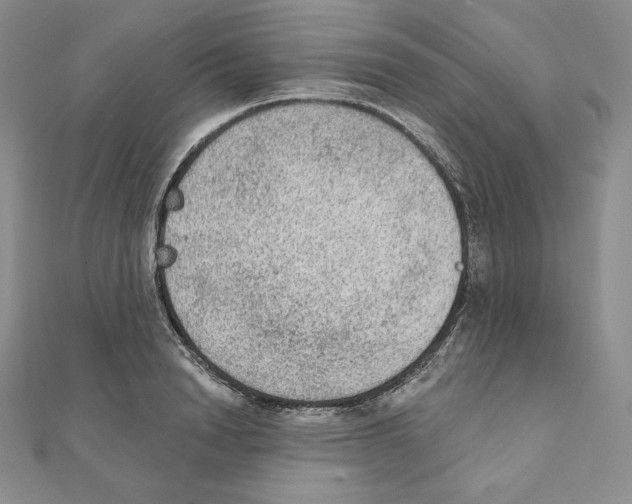 X0000111130846200907281049