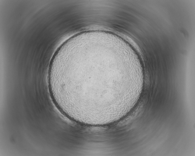 X0000111130847200907281049