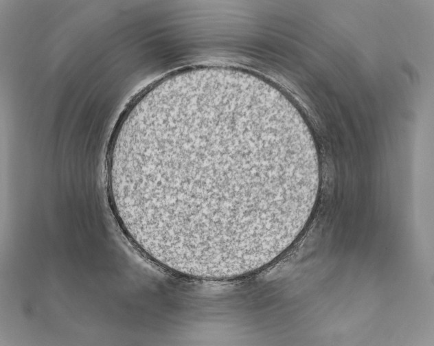 X0000111130848200907281049