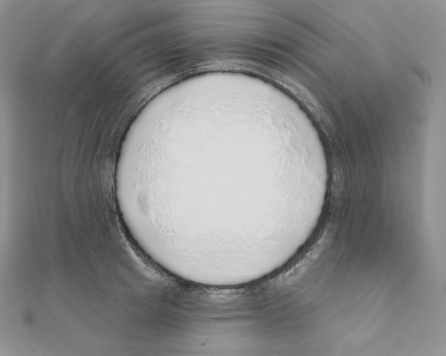 X0000111130849200907281049