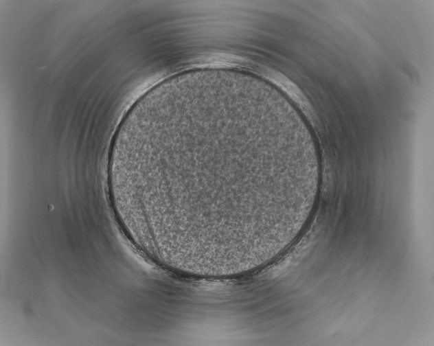 X0000111130850200907281049