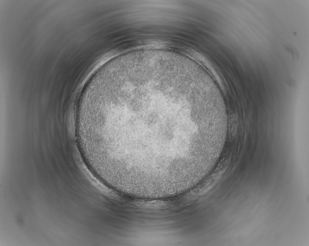 X0000111130851200907281049
