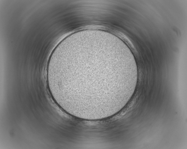 X0000111130852200907281049
