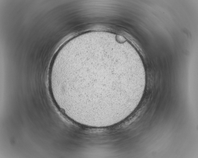 X0000111130853200907281049