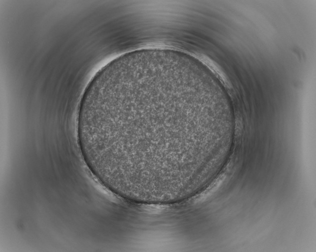 X0000111130854200907281049