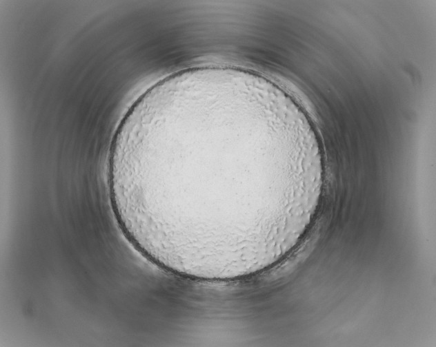X0000111130855200907281049