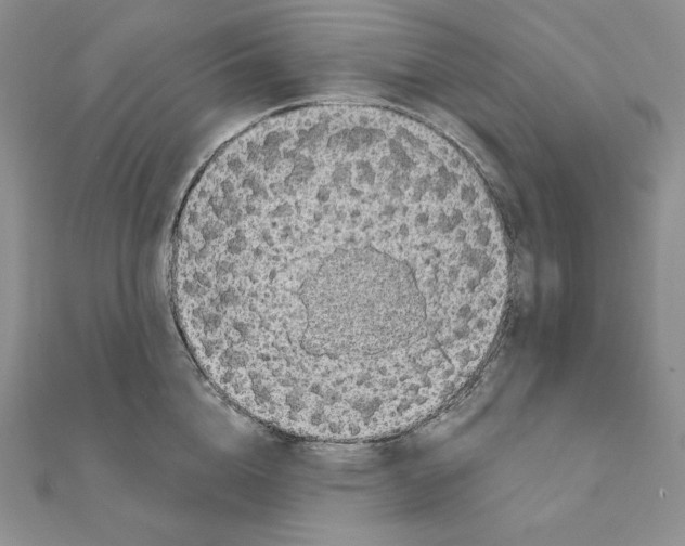 X0000111130856200907281049