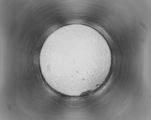 X0000111130857200907281049