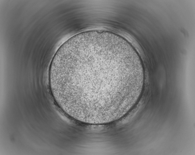 X0000111130858200907281049
