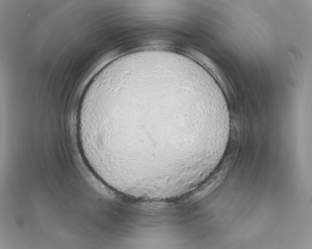 X0000111130859200907281049