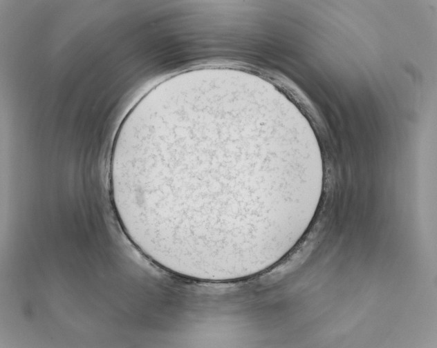 X0000111130860200907281049