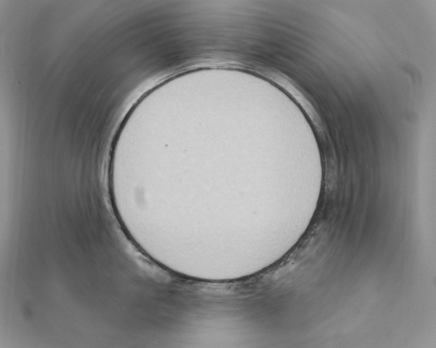 X0000111130861200907281049