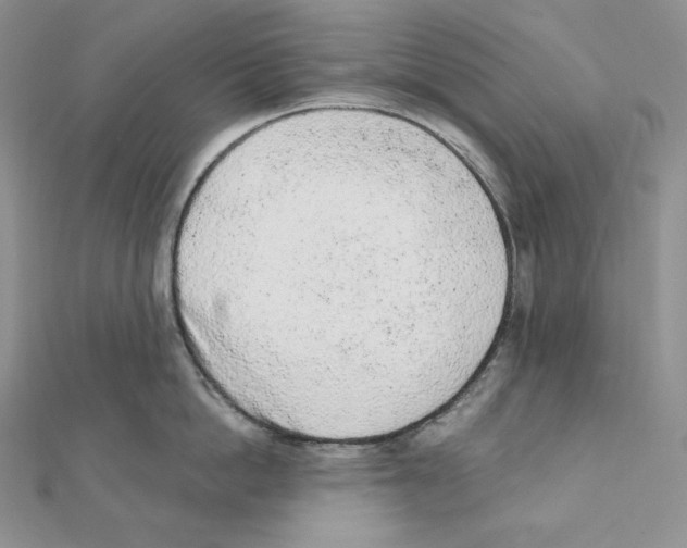 X0000111130862200907281049