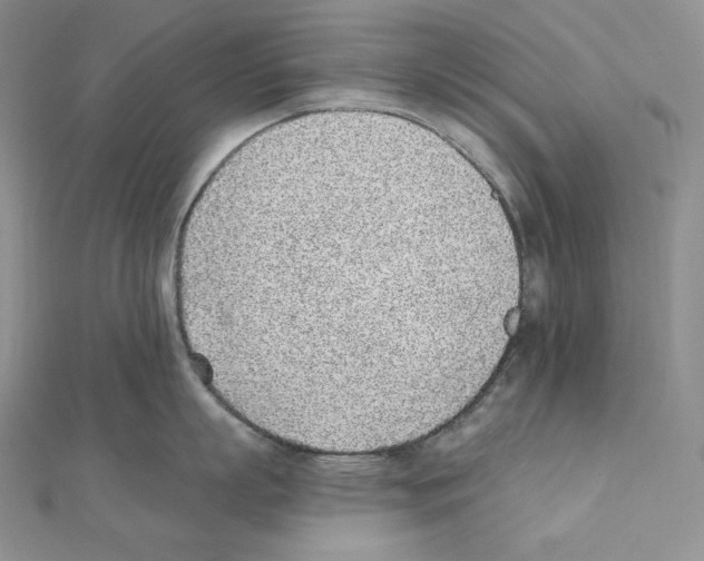 X0000111130863200907281049