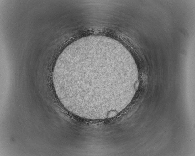 X0000111130865200907281049