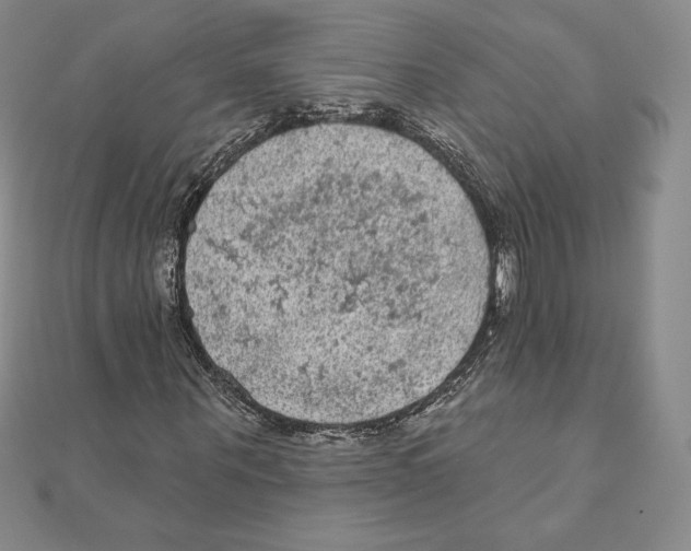 X0000111130867200907281049