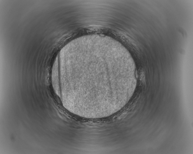 X0000111130868200907281049
