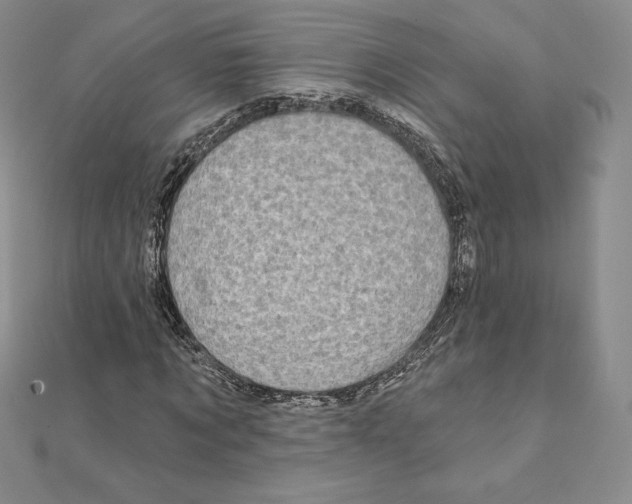 X0000111130869200907281049