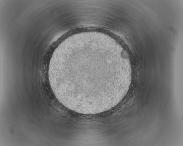 X0000111130871200907281049