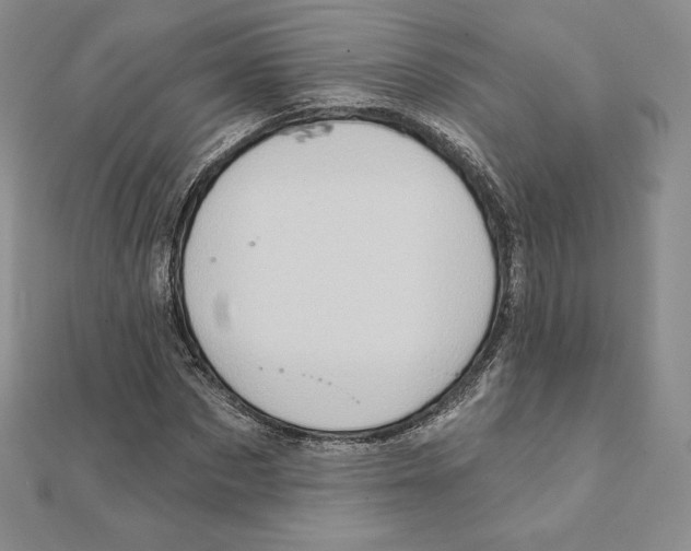 X0000111130873200907281048