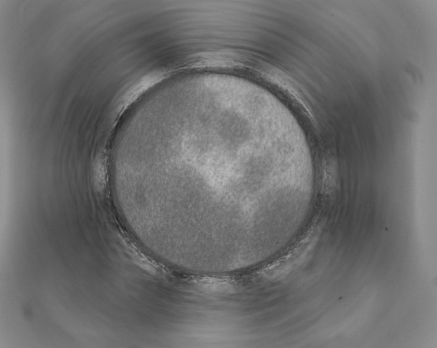 X0000111130874200907281048